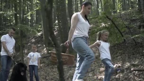 Familie Auf Wanderabenteuer Durch Den Wald Glückliche Familie Aus Mutter — Stockvideo