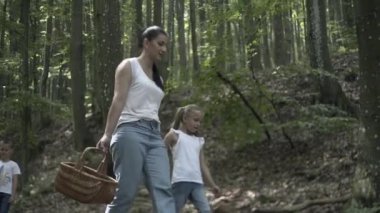 Ormanda Aile Yürüyüşü Macerası. Anne, baba ve kızlarının mutlu aileleri kozalaklı ormanda el ele yürüyorlar. Ebeveynler çocuklara güzel ağaçlar gösteriyor. Çocuklar mantar toplar.