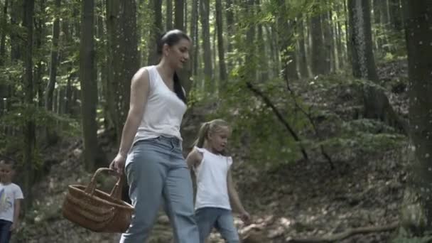 森の中をハイキングの冒険に家族 針葉樹林の中を歩いている母娘の幸せな家族 両親は子供に美しい木を見せている 子供がキノコを選ぶ — ストック動画