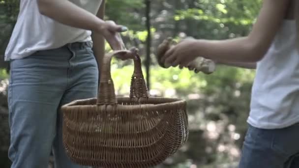 Familie Auf Wanderabenteuer Durch Den Wald Glückliche Familie Aus Mutter — Stockvideo