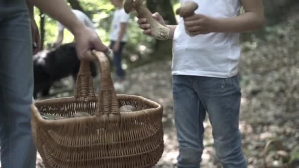 Rodzina Pieszej Przygodzie Przez Las Szczęśliwa Rodzina Matki Ojca Córek — Wideo stockowe