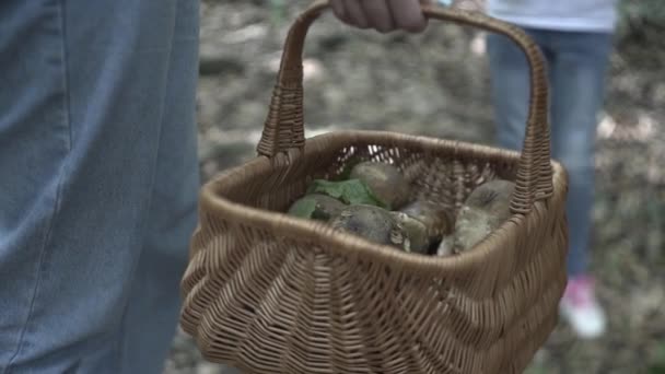 Familie Auf Wanderabenteuer Durch Den Wald Glückliche Familie Aus Mutter — Stockvideo