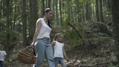 Ormanda Aile Yürüyüşü Macerası. Anne, baba ve kızlarının mutlu aileleri kozalaklı ormanda el ele yürüyorlar. Ebeveynler çocuklara güzel ağaçlar gösteriyor. Çocuklar mantar toplar.