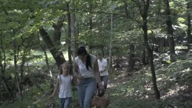 Ormanda Aile Yürüyüşü Macerası. Anne, baba ve kızlarının mutlu aileleri kozalaklı ormanda el ele yürüyorlar. Ebeveynler çocuklara güzel ağaçlar gösteriyor. Çocuklar mantar toplar.