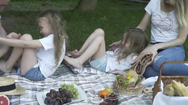 幸せな家族のピクニック屋外牧草地に座っている 公園での週末の食事や飲み物で楽しい親と子供肯定的な気分 子供時代 — ストック動画