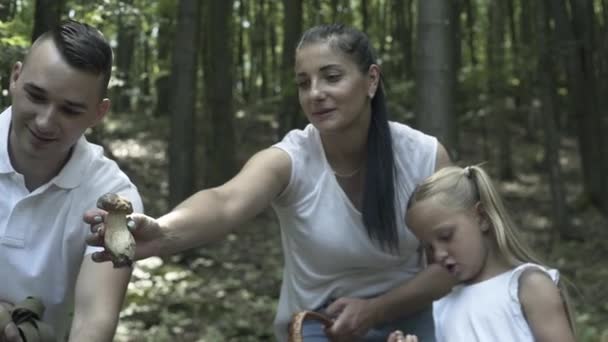 Ormanda Aile Yürüyüşü Macerası Anne Baba Kızlarının Mutlu Aileleri Kozalaklı — Stok video