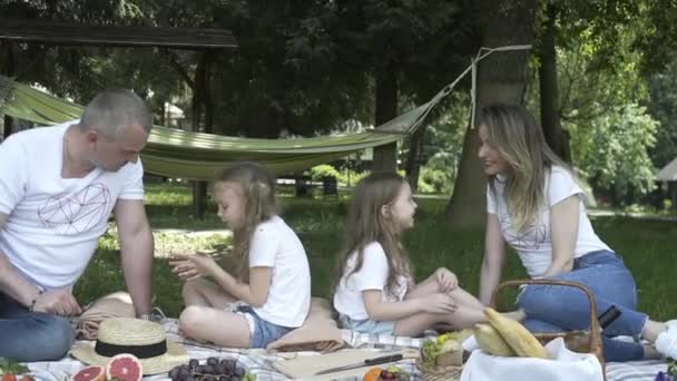 Famílias Felizes Fazendo Piquenique Livre Sentado Prado Pais Crianças Divertindo — Vídeo de Stock