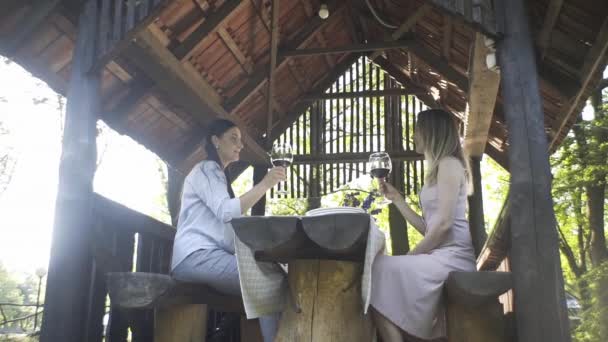 Chicas Felices Corriendo Hacia Sus Padres Alegres Por Puente Abrazos — Vídeo de stock