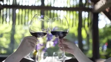 Mutlu kızlar köprünün üzerinden neşeli ebeveynlerine koşuyor. Anne ve babaların sevgi dolu kucaklamaları..