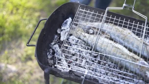 Ragazzi Preparano Barbecue Alla Griglia Famiglia All Aperto Picnic Comunicazione — Video Stock