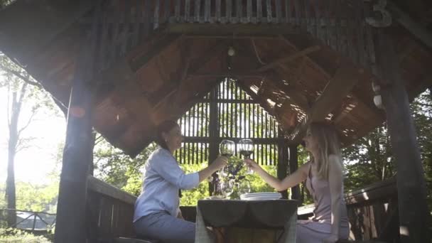 Familie Buiten Picknick Barbecue Communicatie Het Leven Wijn Drinken Barbecue — Stockvideo