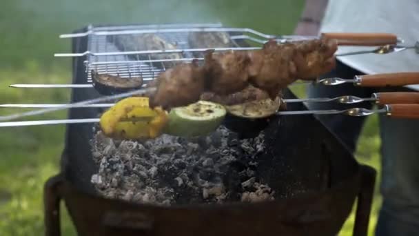 Ragazzi Preparano Barbecue Alla Griglia Famiglia All Aperto Picnic Comunicazione — Video Stock