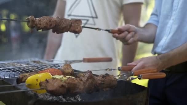 Kluci Připravují Grilování Grilu Rodina Venku Piknik Komunikace Životě Pití — Stock video