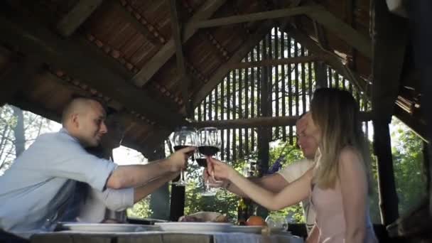 アウトドア ピクニック バーベキュー 生活に関するコミュニケーション ワイン バーベキュー — ストック動画