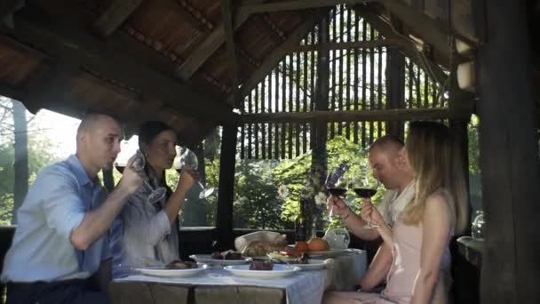 Familie Buiten Picknick Barbecue Communicatie Het Leven Wijn Drinken Barbecue — Stockvideo