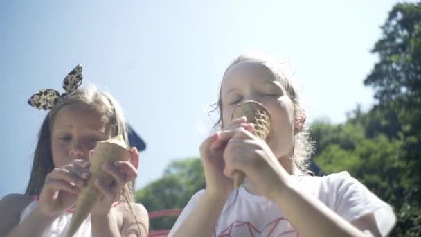 公園の子供たちはアイスクリームを食べ 家族は自然の中でリラックスします — ストック動画