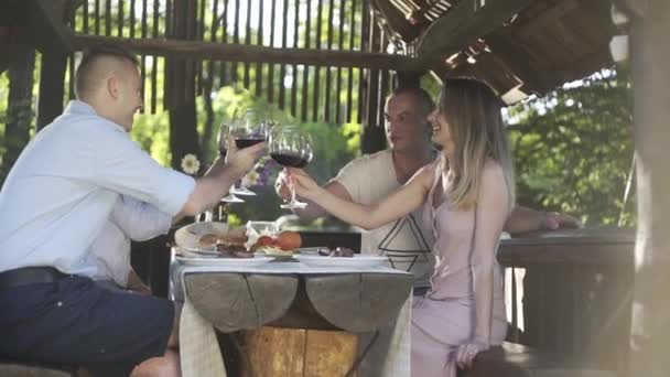 Famiglia All Aperto Picnic Barbecue Comunicazione Sulla Vita Bere Vino — Video Stock