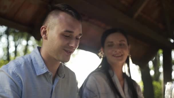 famille en plein air, pique-nique, barbecue, communication sur la vie, boire du vin, barbecue 