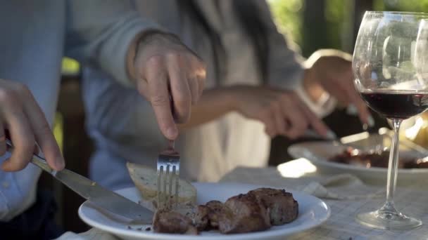 Aile Açık Havada Piknik Barbekü Hayat Hakkında Iletişim Şarap Barbekü — Stok video