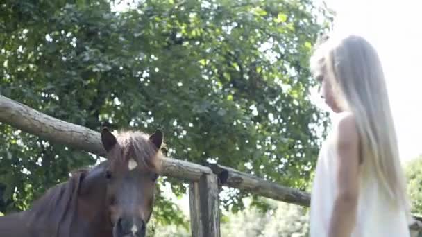 Crianças Alimentam Animais Relaxando Parque Veados Cavalos Família Férias Estão — Vídeo de Stock