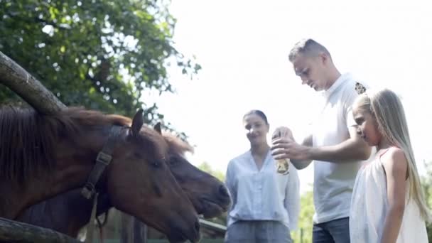 Bambini Nutrono Gli Animali Rilassano Nel Parco Cervi Cavalli Famiglia — Video Stock