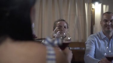 Bir grup arkadaş bir akşam yemeği partisinde eğleniyorlar. Gençler Lokantada Eğleniyor, Konuşuyor, Hikayeler ve Şakalar Anlatıyor. Çeşitli içecekler içiyorlar..