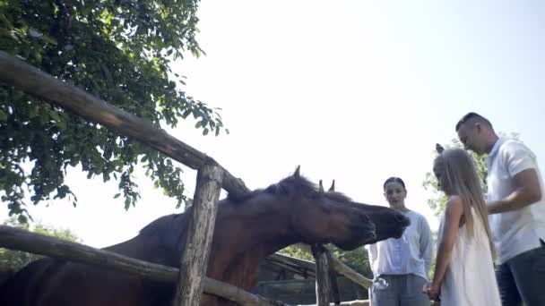 Kinderen Voeden Dieren Ontspannen Het Park Herten Paarden Familie Vakantie — Stockvideo