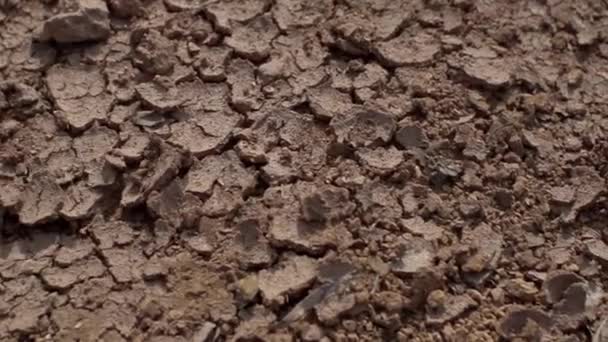 Tierra Antigua Desierto Indio Tierra Muriendo Sequía Tierra Roja Toda — Vídeos de Stock