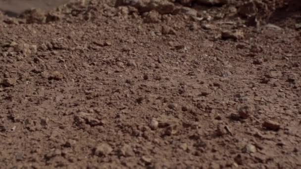 Starożytna Ziemia Indyjska Pustynia Ziemia Umierająca Suszy Czerwona Ziemia Wszystko — Wideo stockowe