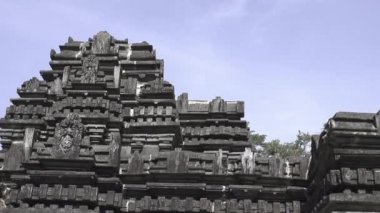Eski Terk Edilmiş Maharaja Tapınağı, Hint Tapınağı, Hindistan Orman Tapınağı, Eski Goa