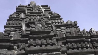 Eski Terk Edilmiş Maharaja Tapınağı, Hint Tapınağı, Hindistan Orman Tapınağı, Eski Goa