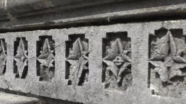 Eski Terk Edilmiş Maharaja Tapınağı, Hint Tapınağı, Hindistan Orman Tapınağı, Eski Goa
