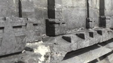 Eski Terk Edilmiş Maharaja Tapınağı, Hint Tapınağı, Hindistan Orman Tapınağı, Eski Goa