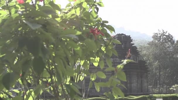 Starověký Opuštěný Chrám Mahárádža Indický Chrám Indický Chrám Džungle Starý — Stock video