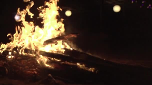 Fire Background Sea Fire Burns Wood Burns Caster Wood — Stock Video