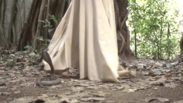 Дівчинка Йде Через Джунглі Індії Король Кобра Повзає Пошуках Своєї — стокове відео