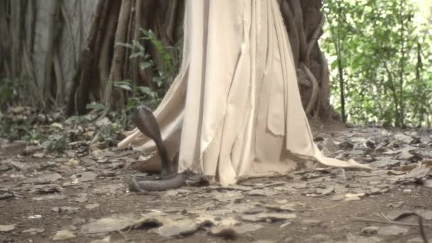 Menina Caminha Pela Selva Índia Rei Cobra Rasteja Procura Sua — Vídeo de Stock