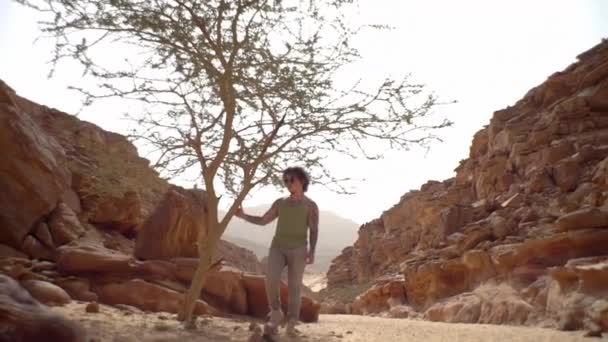 Der Typ Geht Durch Die Wüste Reist Heizt Sahara — Stockvideo