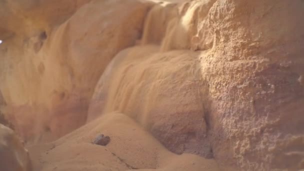 Ragazzo Attraversa Deserto Viaggia Caldo Sahara — Video Stock