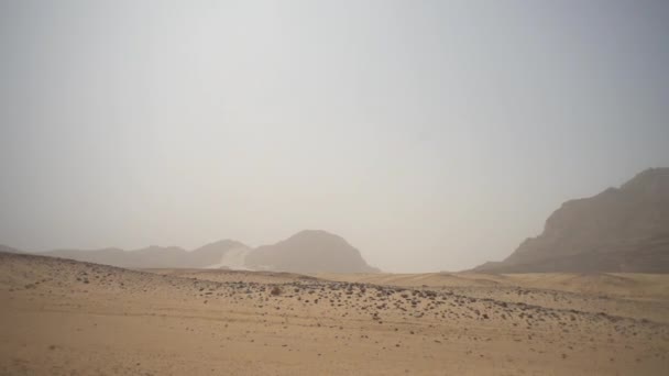 Пустыня Сахар Сильная Засуха Ничего Живого — стоковое видео