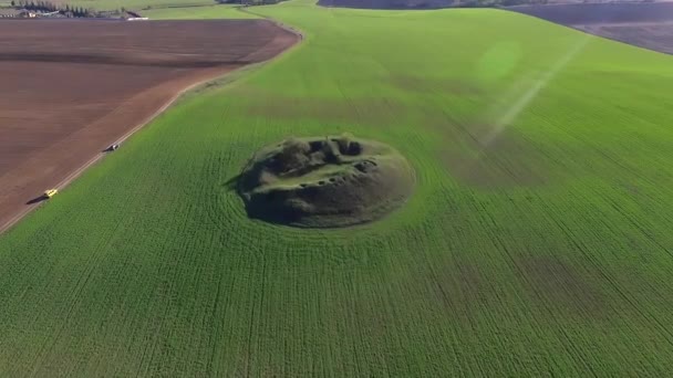 Tipo Luta Com Uma Sombra Boxe Num Campo Num Campo — Vídeo de Stock