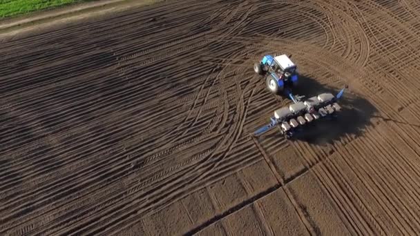 Traktör Tarlayı Geçiyor Tohum Ekmek Için Toprağı Sürüyor Baharda Tahıl — Stok video