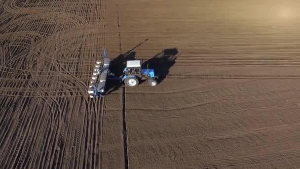 Traktör Tarlayı Geçiyor Tohum Ekmek Için Toprağı Sürüyor Baharda Tahıl — Stok video