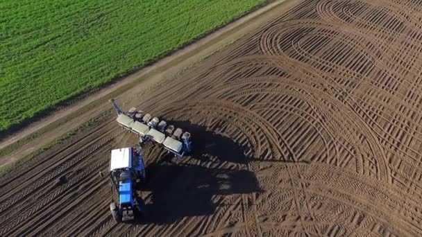 Traktor Rider Över Fältet Plöjer Marken För Sådd Våren Förbereder — Stockvideo