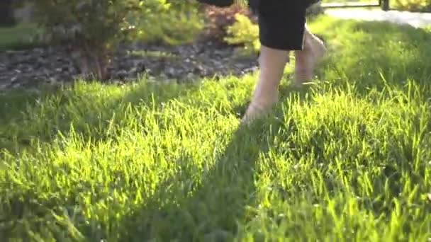 Mestre Qigong Caminha Descalço Antes Ioga Meditação — Vídeo de Stock