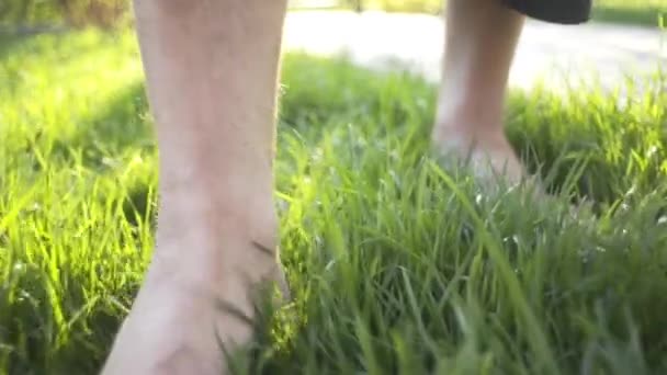 Maestro Del Qigong Camina Descalzo Antes Del Yoga Meditación — Vídeo de stock