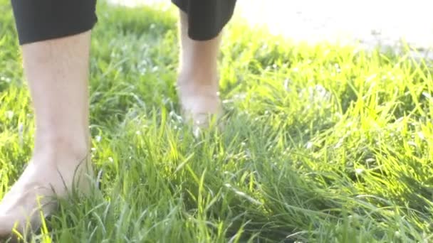 Maître Qigong Marche Pieds Nus Avant Yoga Méditation — Video