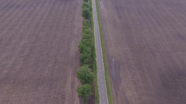 ドローンは農家の畑の端に沿って村の間の高速道路に沿って飛んで 小麦で片側に植えられ そこでカノーラが成長する — ストック動画
