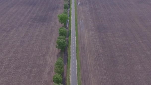 Bir Dron Bir Tarafta Buğdayla Ekilen Üzerinde Kanola Yetişen Bir — Stok video