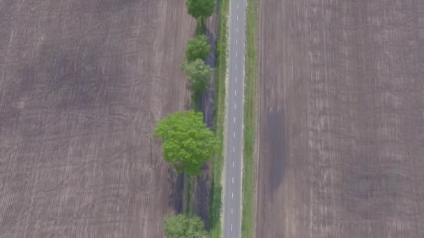 一架无人驾驶飞机沿着农民田边的一条村庄间的公路飞行 这条公路一边种着小麦 另一边种着可罗拉树 — 图库视频影像